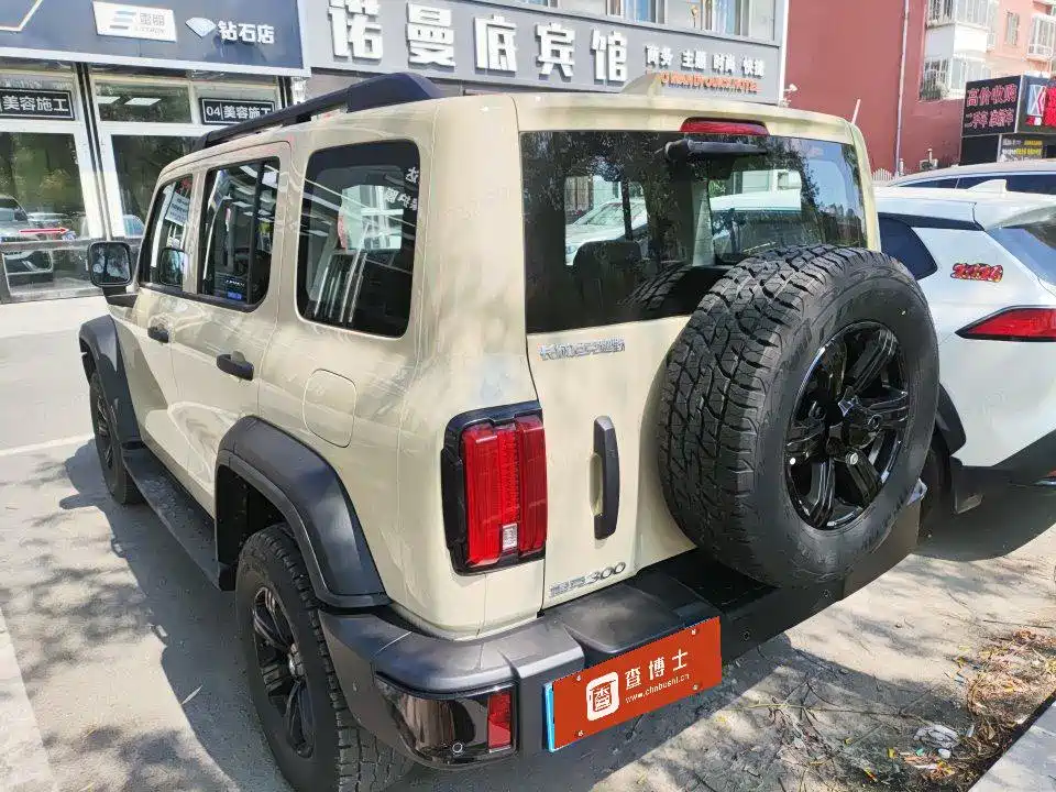 Tank 300 2025 2.0T