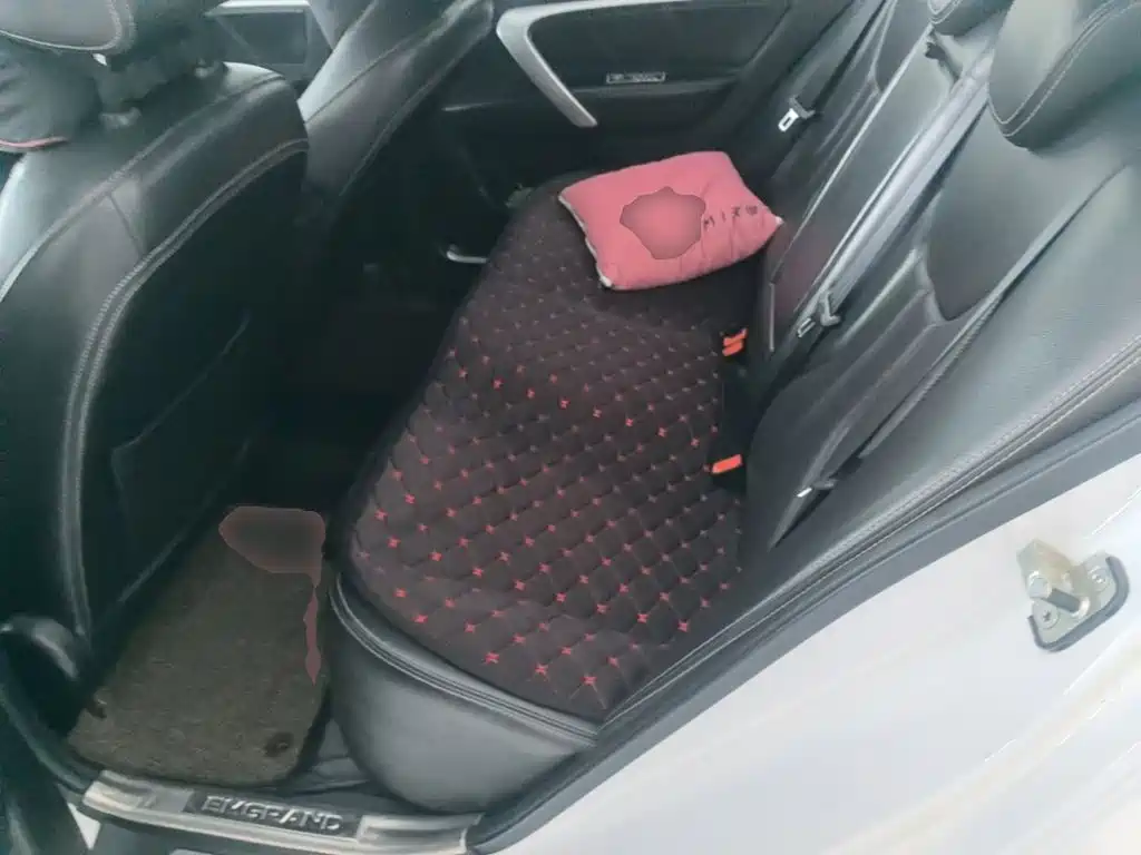 Geely Emgrand — миниатюра 17