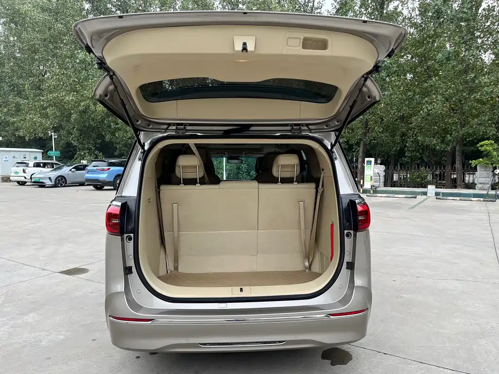 Buick GL8 — миниатюра 14