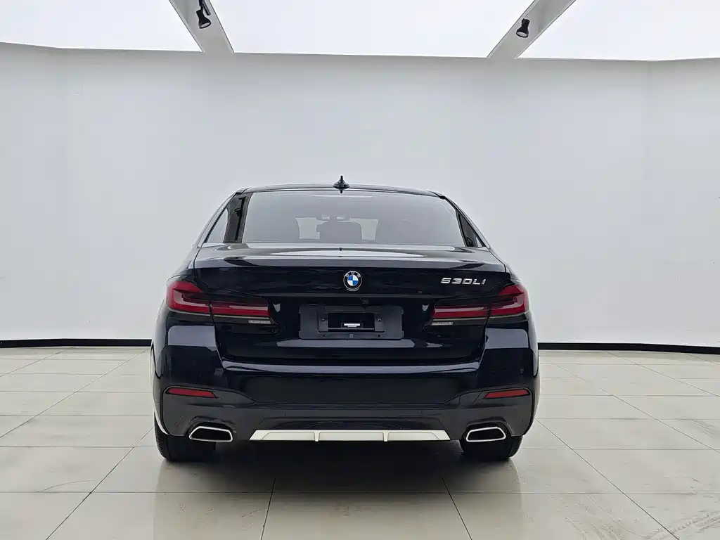 BMW 5 Series — миниатюра 8