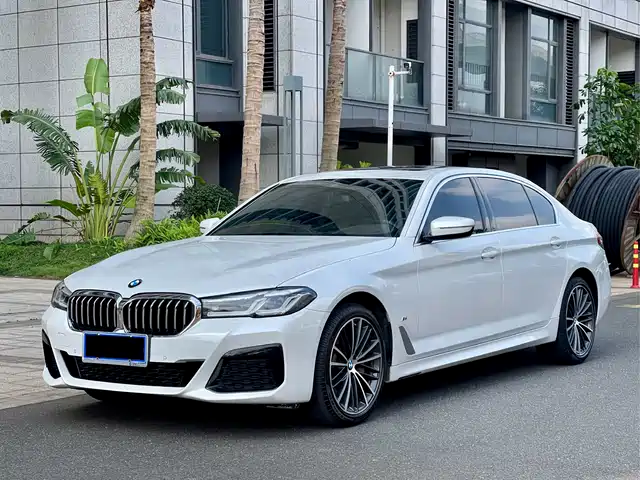 BMW 5 SERIES