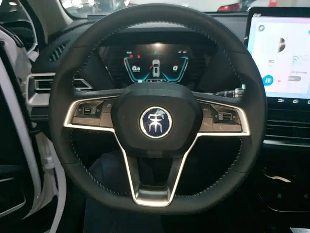 BYD Pro — миниатюра 7