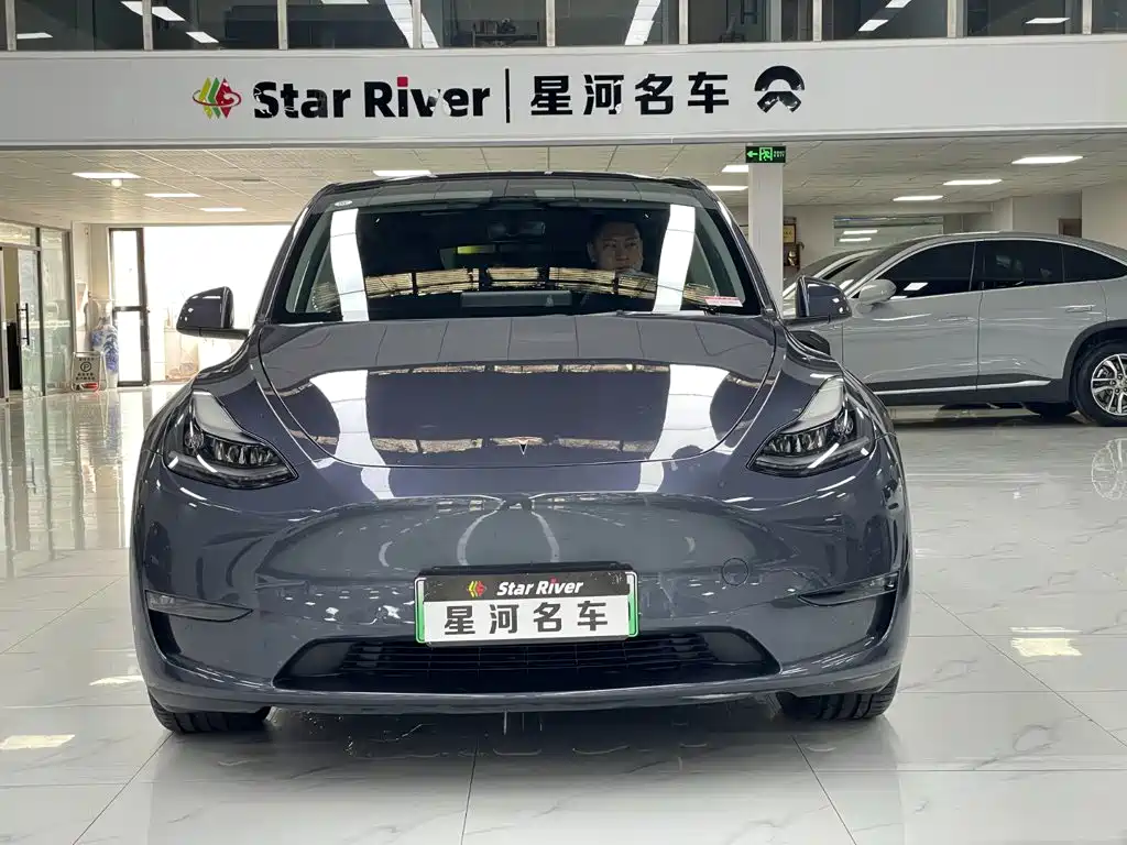 Tesla Model Y — миниатюра 2