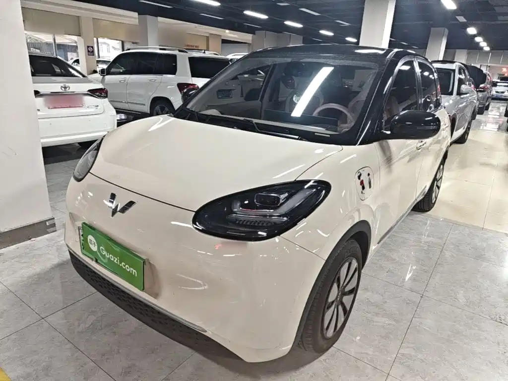 Wuling Bingo
