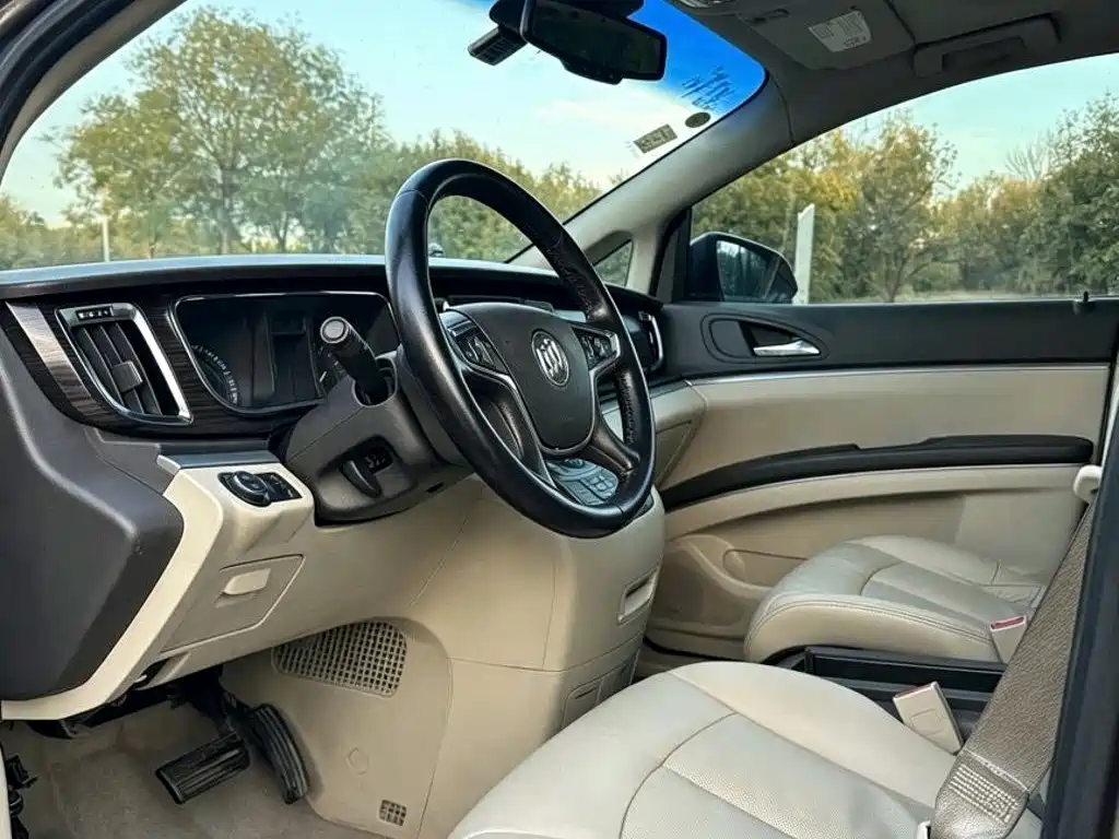 Buick GL8 — миниатюра 8