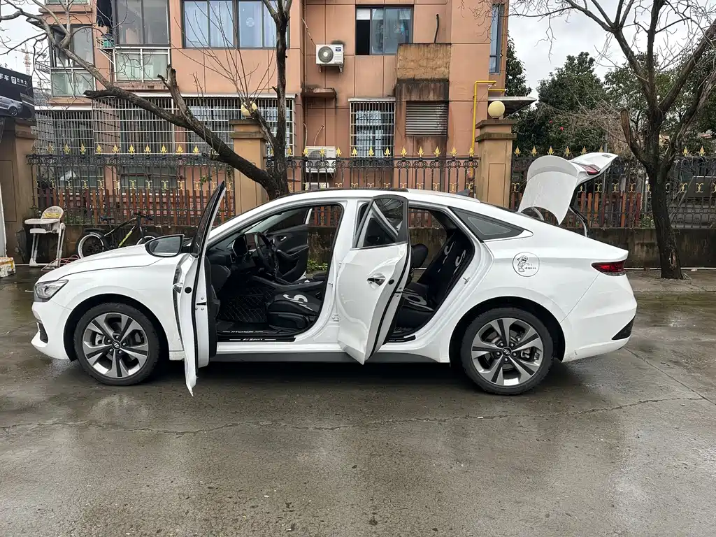Hyundai Fista — миниатюра 14