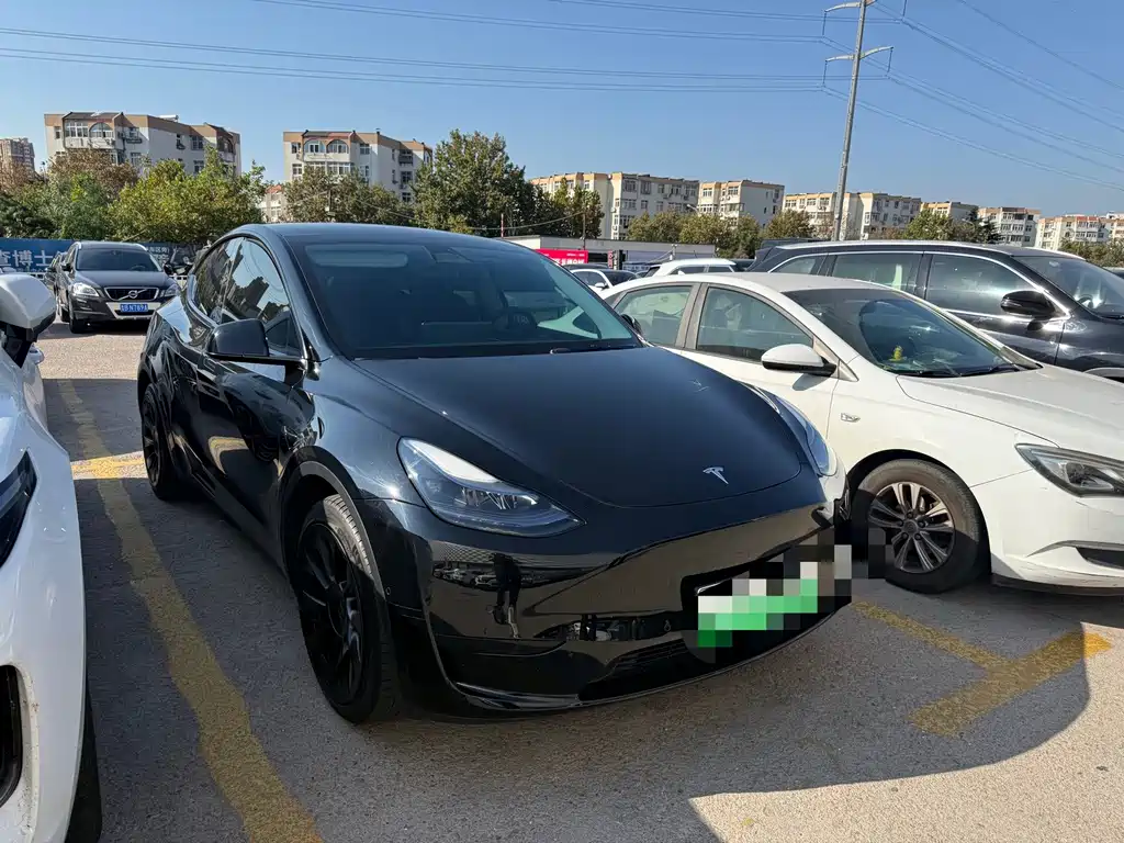 Tesla Model Y — миниатюра 4