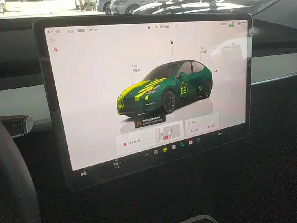 Tesla Model Y — миниатюра 13