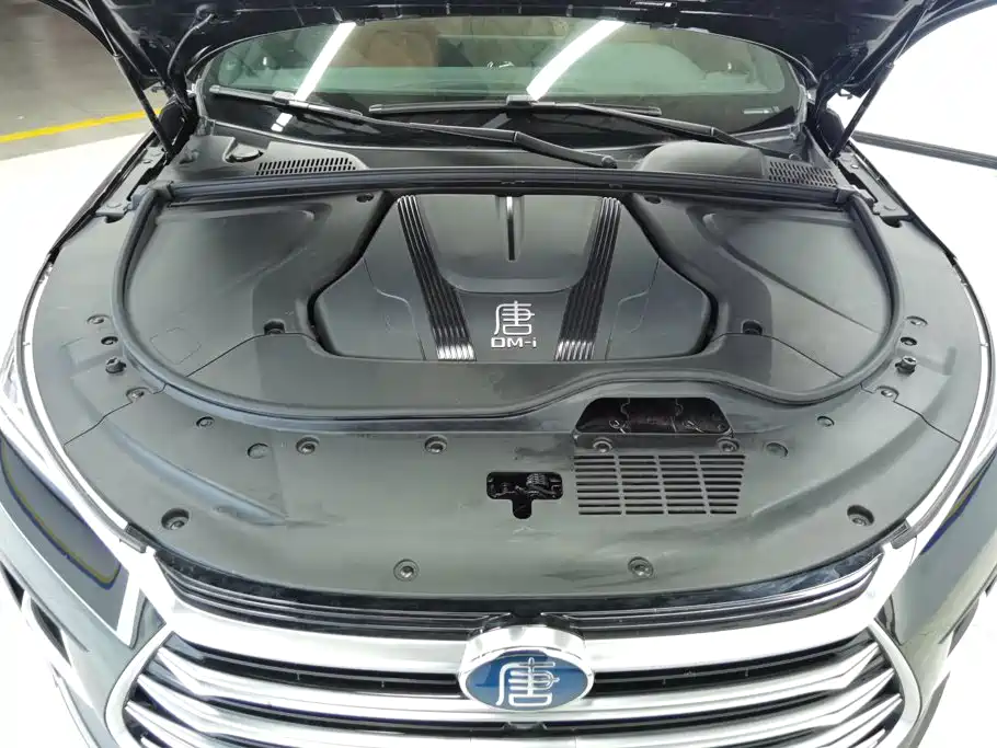 BYD Tang New Energy — миниатюра 10