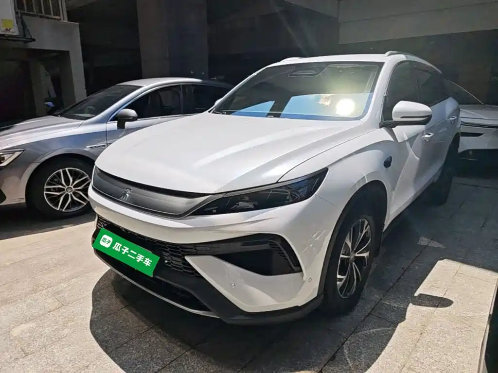 BYD Pro New Energy — миниатюра 2