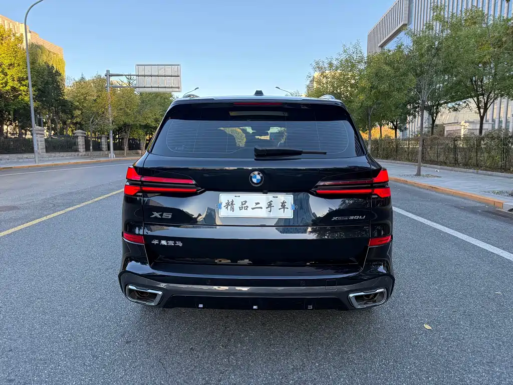 BMW X5 — миниатюра 7