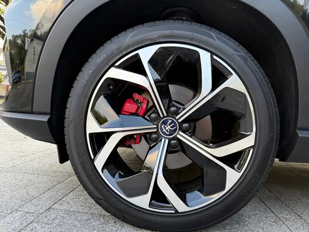 BYD PLUS — миниатюра 18