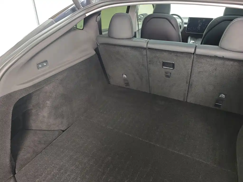 Tesla Model Y — миниатюра 10