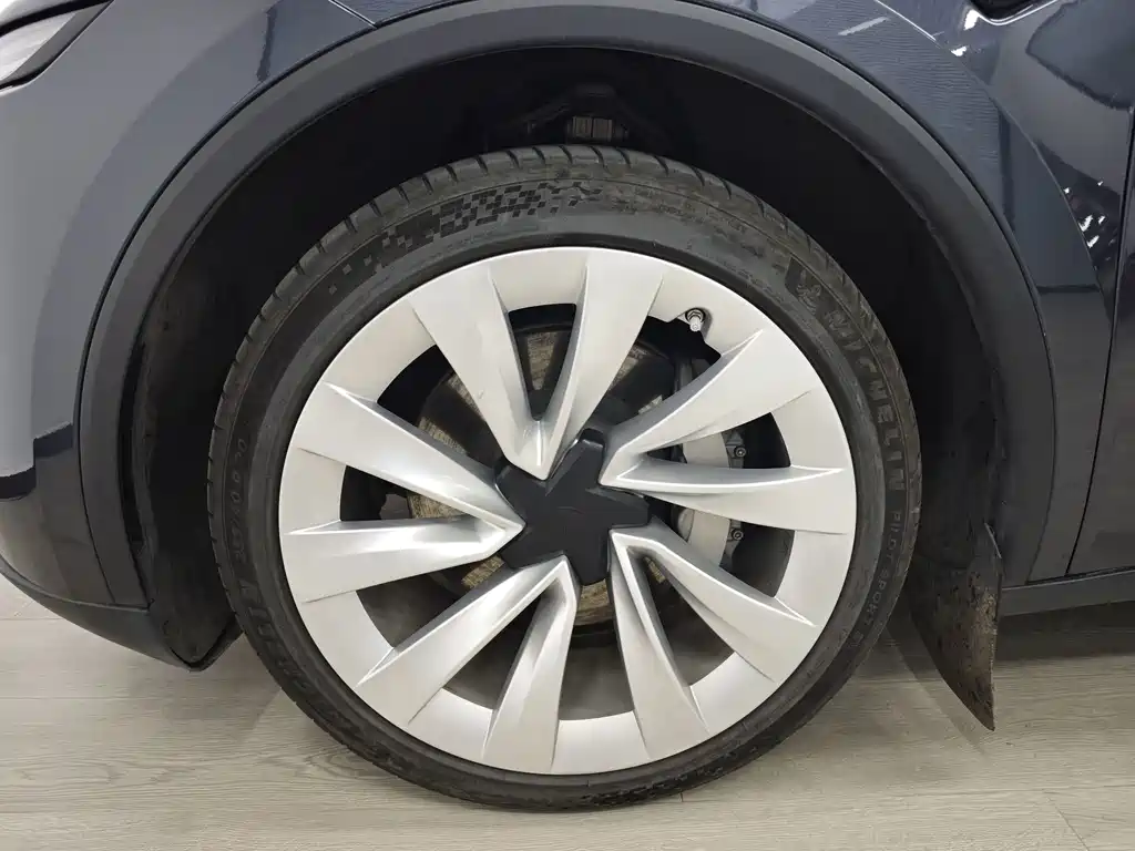 Tesla Model Y — миниатюра 53