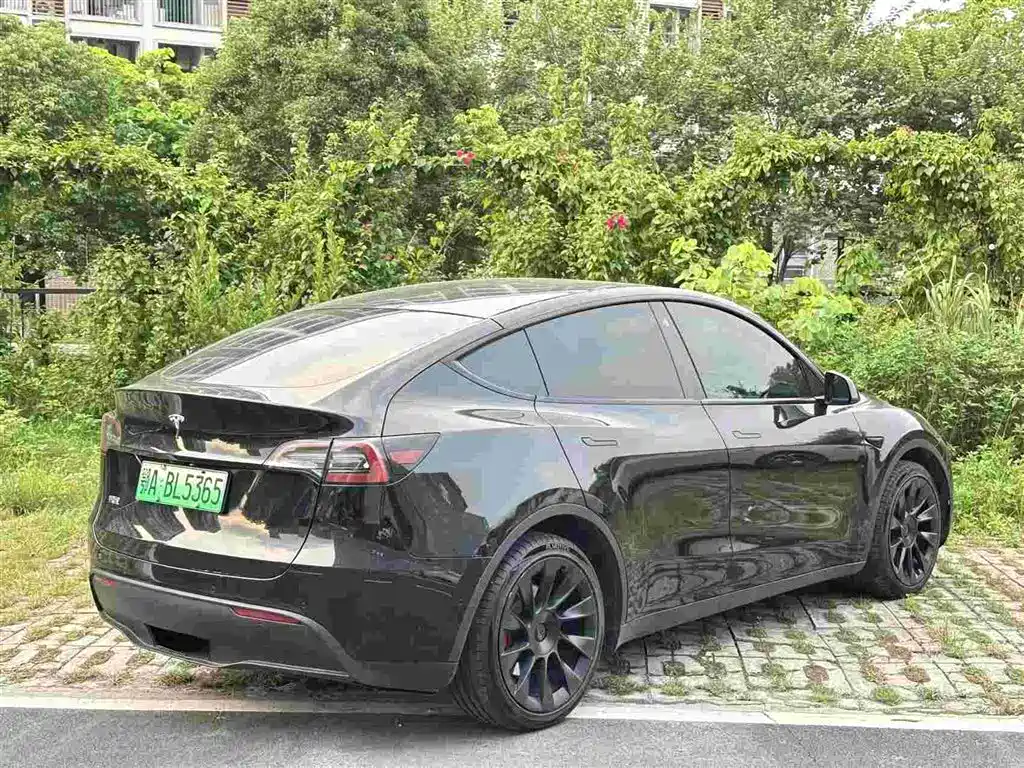 Tesla Model Y — миниатюра 3