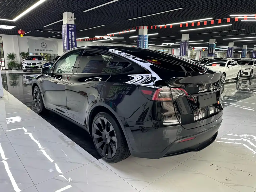 Tesla Model Y — миниатюра 7