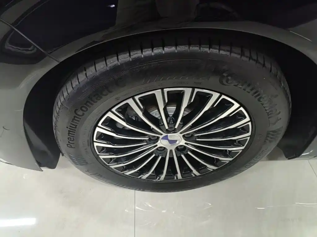 Denza Denza D9 — миниатюра 23