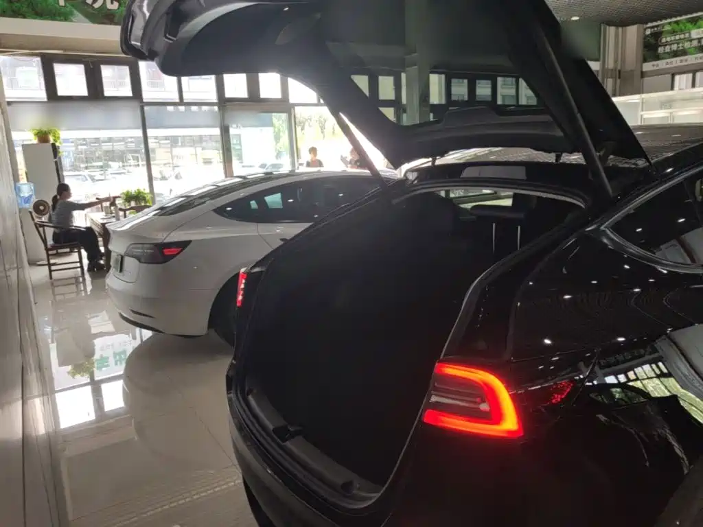 Tesla Model Y — миниатюра 19