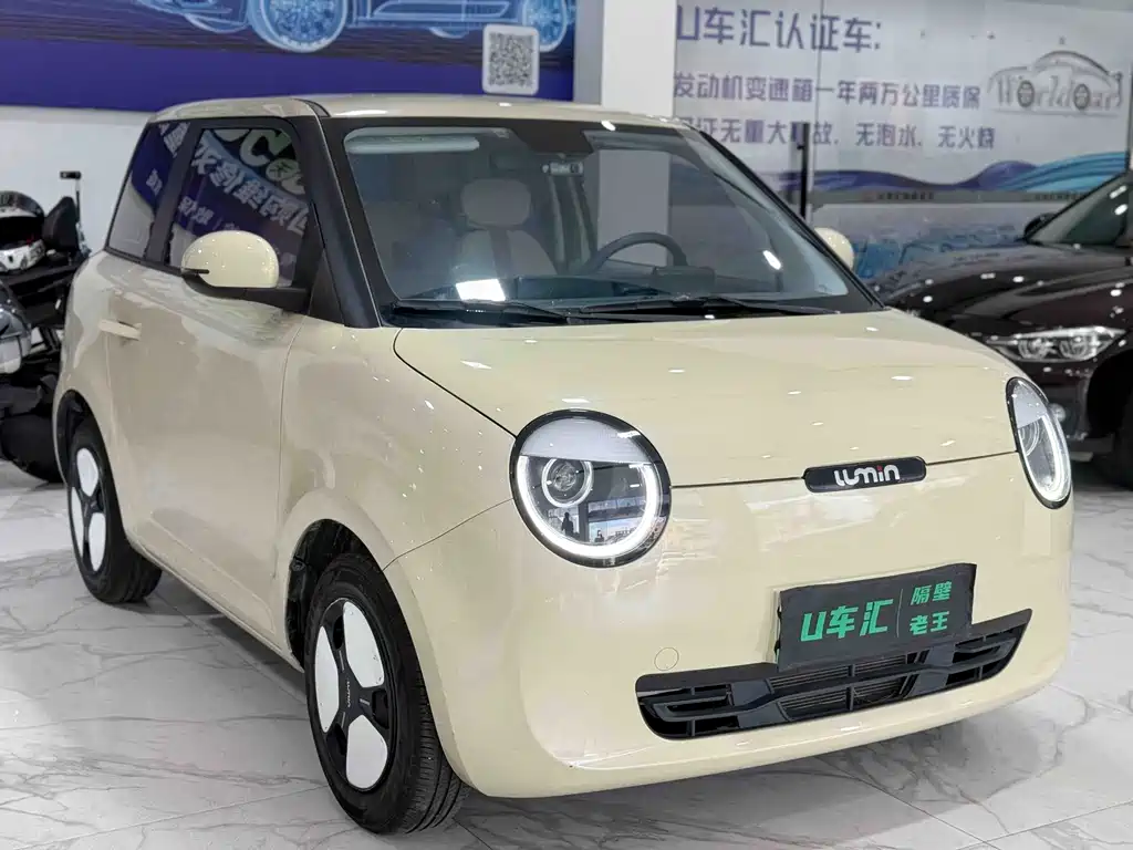 Qiyuan Lumin — миниатюра 3