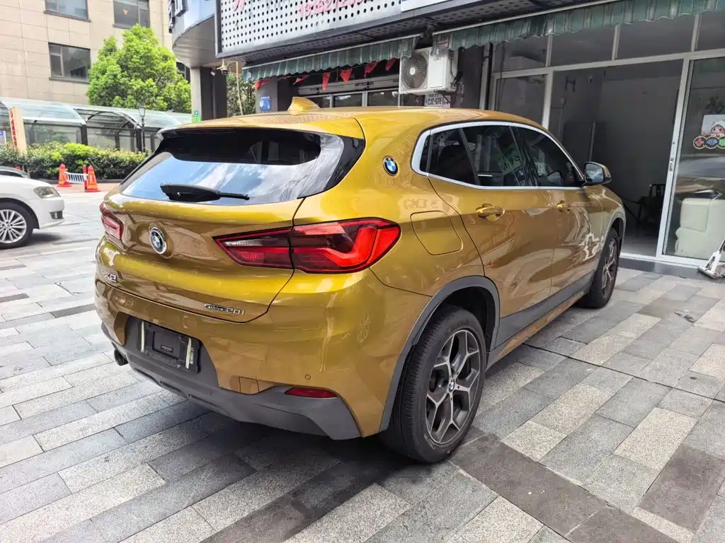 BMW X2 (Import) — миниатюра 10