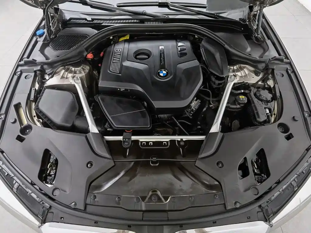 BMW 5 Series 5 2018 525Li Luxury