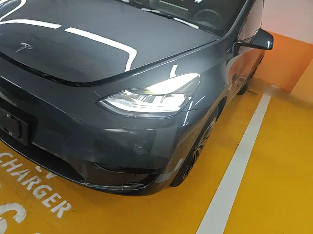 Tesla Model Y — миниатюра 24