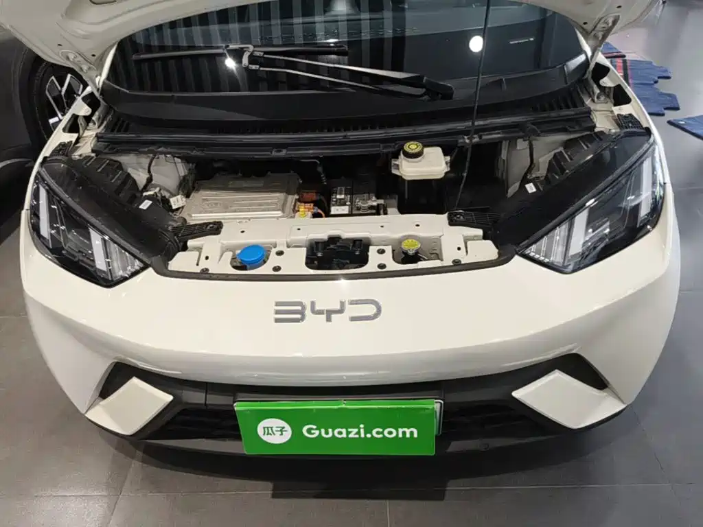 BYD Seagull — миниатюра 20