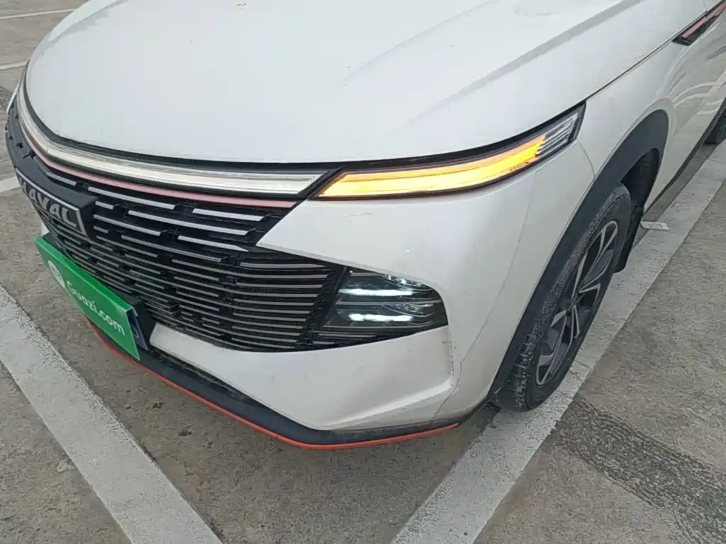 Haval Shenshou — миниатюра 24