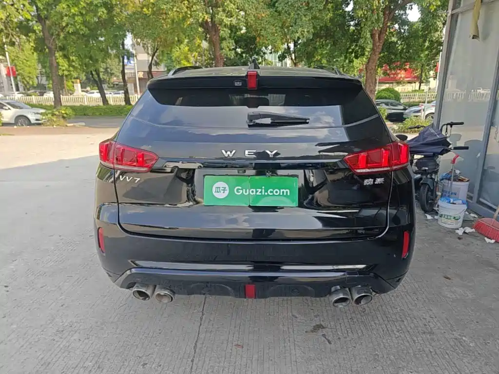 Wey Wey VV7 — миниатюра 6