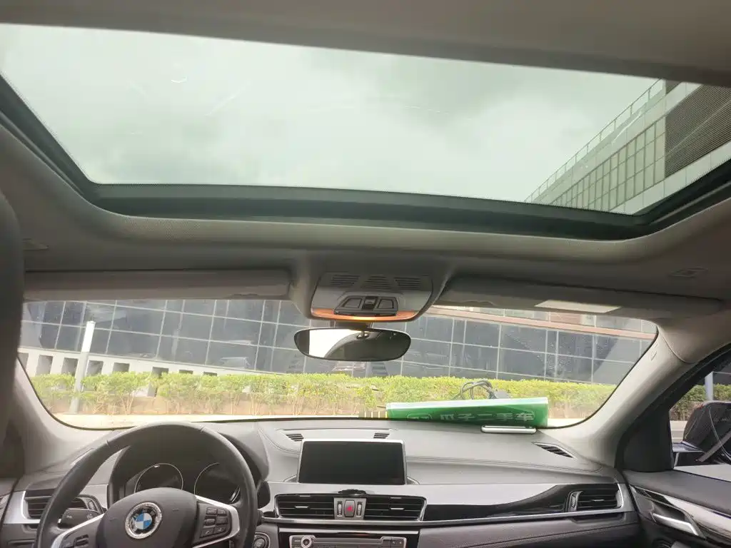 BMW X2 (Import) — миниатюра 19