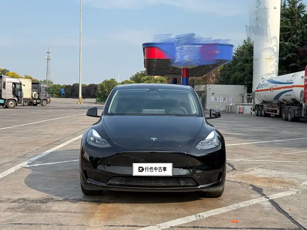 Tesla Model Y — миниатюра 2