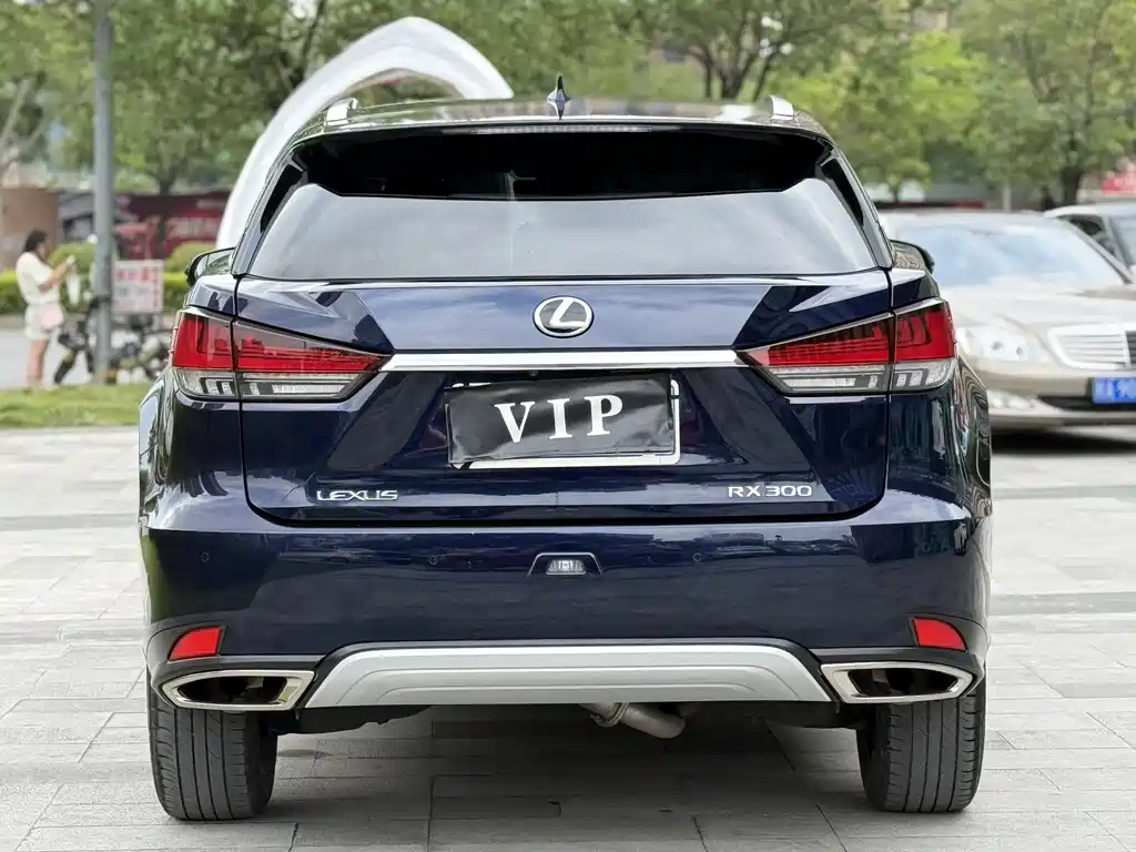 Lexus RX 2020 300 Elegant