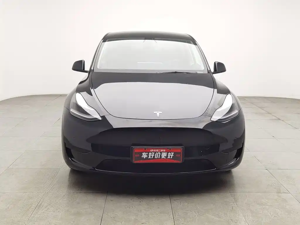 Tesla Model Y — миниатюра 3