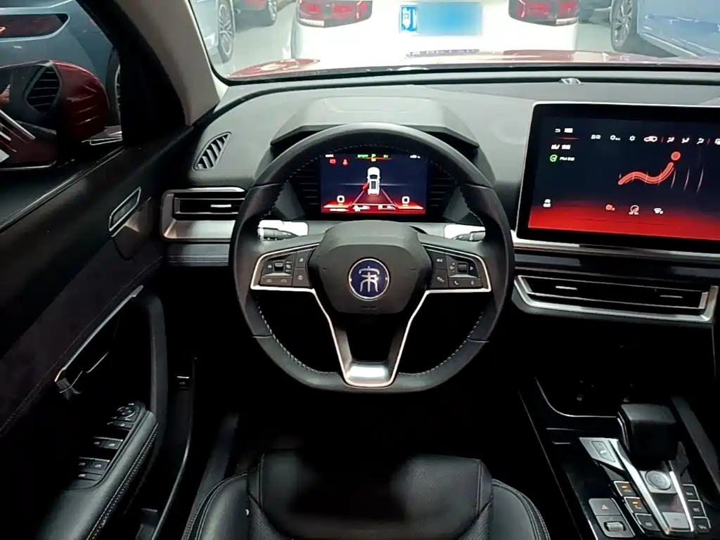 BYD Pro New Energy — миниатюра 11