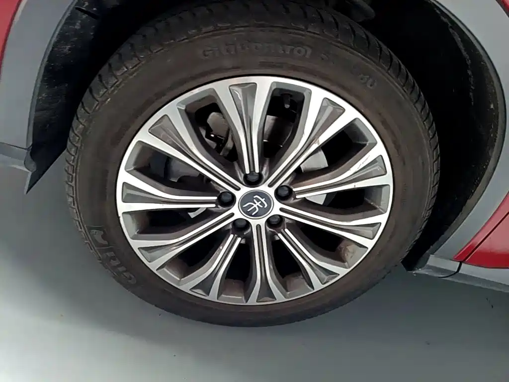 BYD Pro New Energy — миниатюра 23