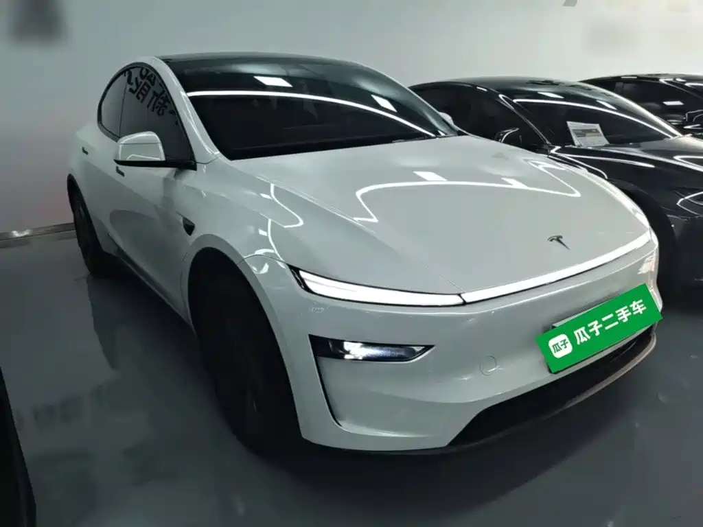 Tesla Model Y — миниатюра 4