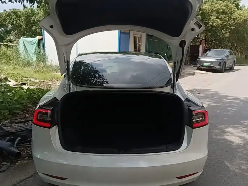 Tesla Model 3 — миниатюра 19