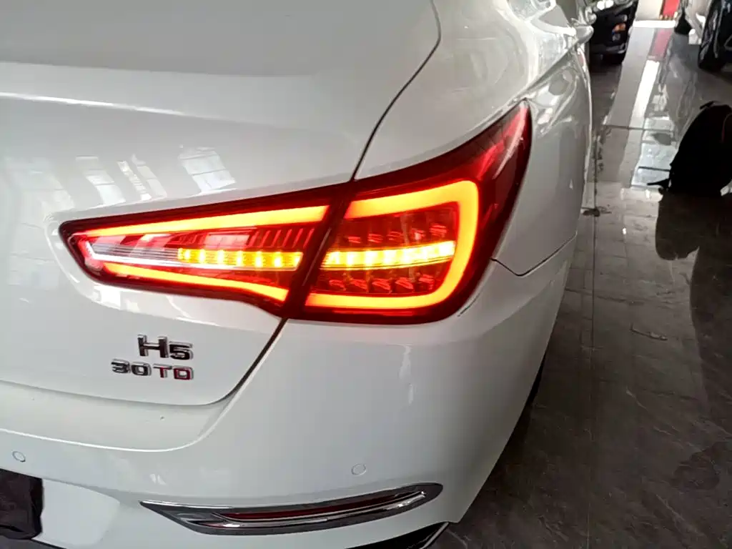 Hongqi Hongqi H5 — миниатюра 8