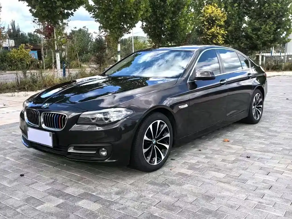 BMW 5 Series — миниатюра 11