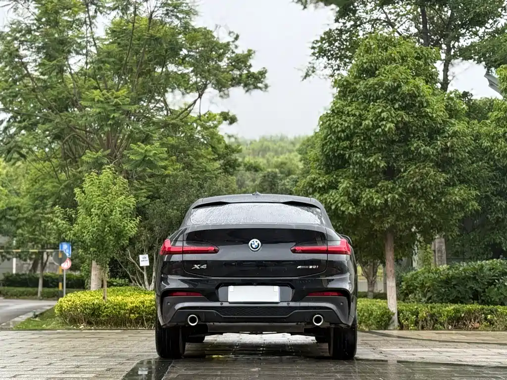 BMW X4 2019 xDrive25i M Sport