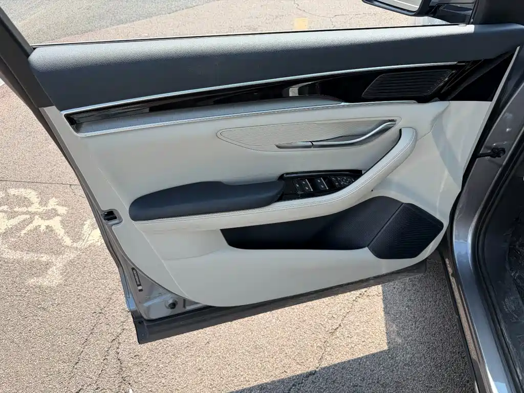 BYD PLUS New Energy — миниатюра 6