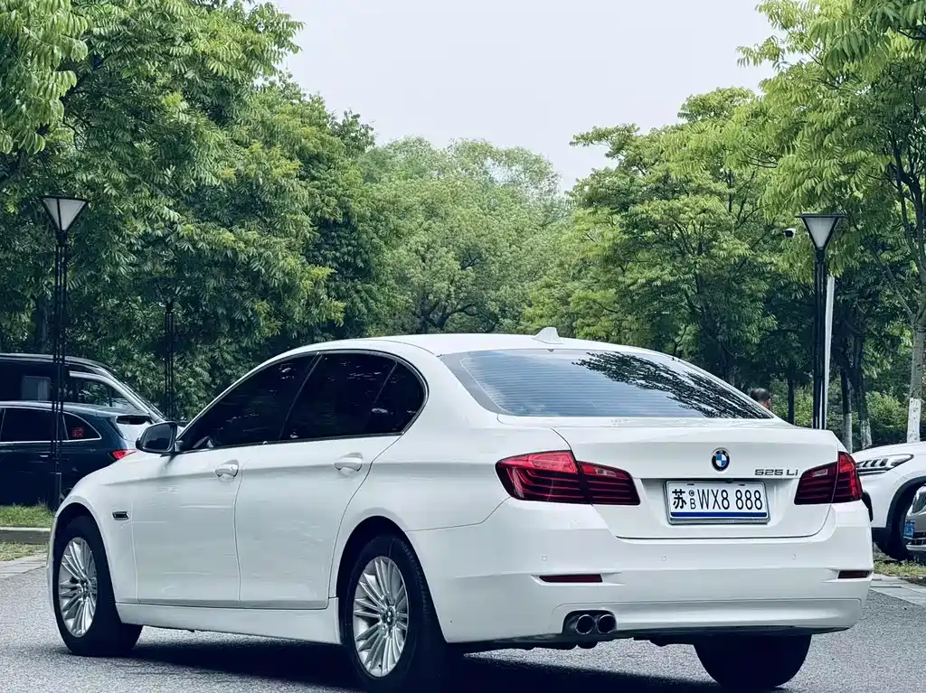 BMW 5 Series 5 2013 525Li Lead