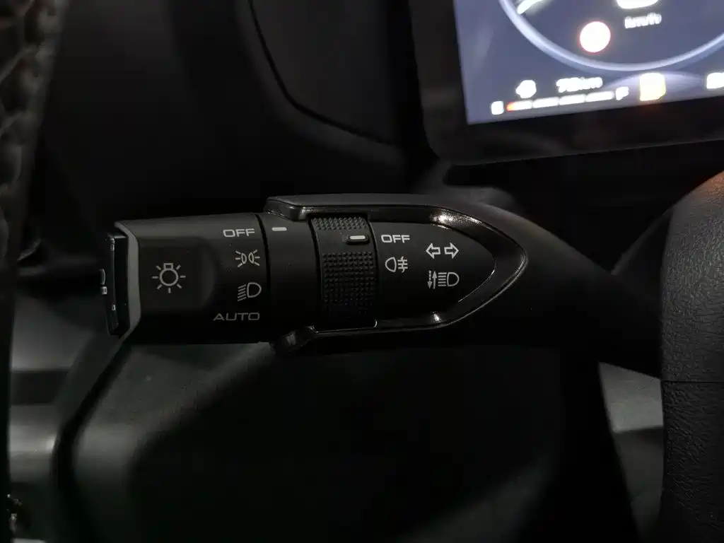 Haval Big Dog PLUS — миниатюра 21