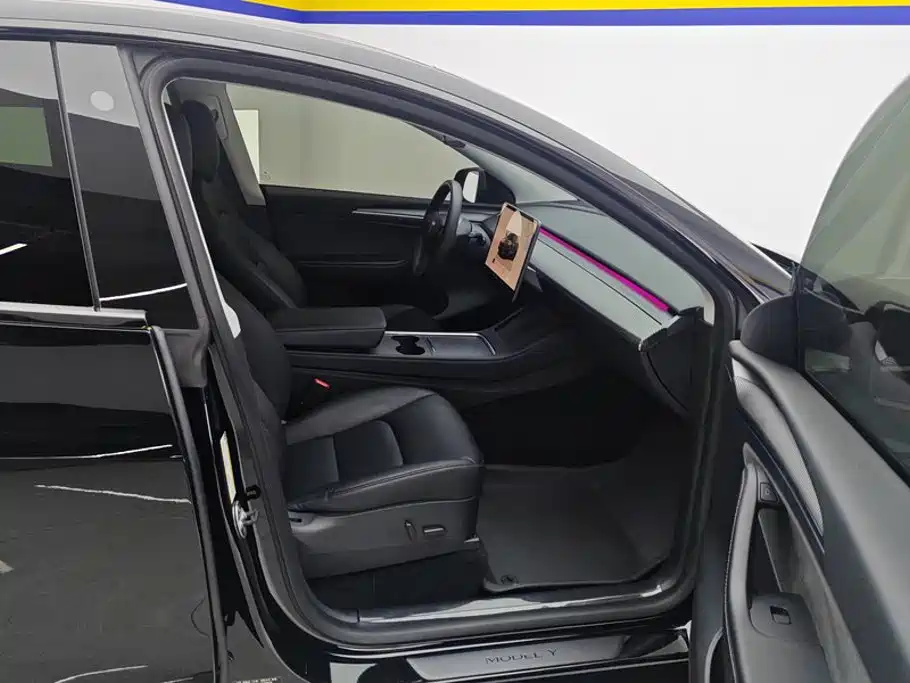 Tesla Model Y — миниатюра 8