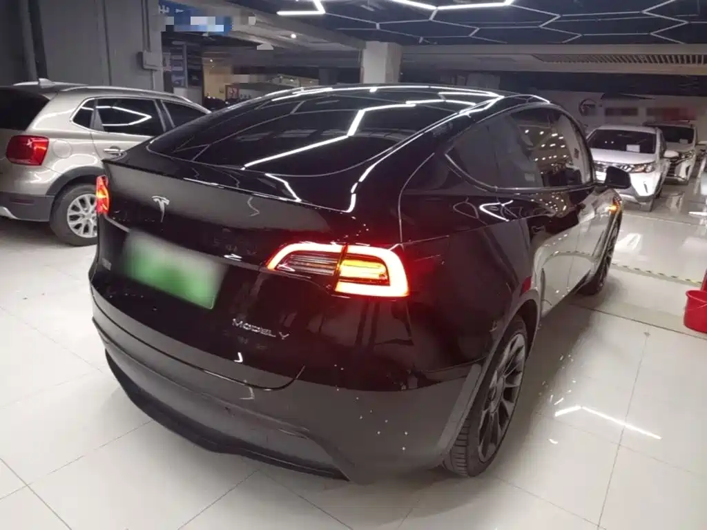 Tesla Model Y — миниатюра 7