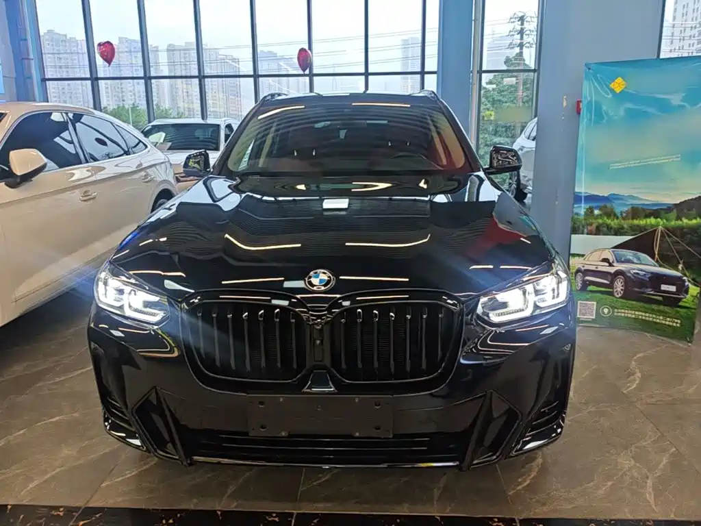 BMW X3 — миниатюра 3