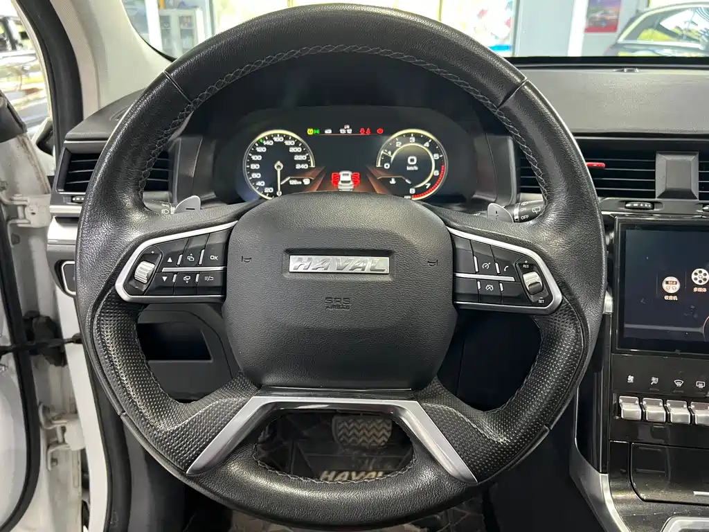 Haval H4 — миниатюра 13