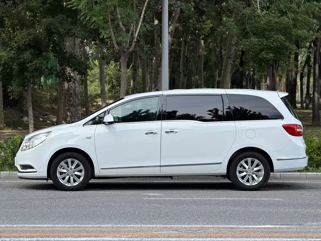Buick GL8 — миниатюра 3