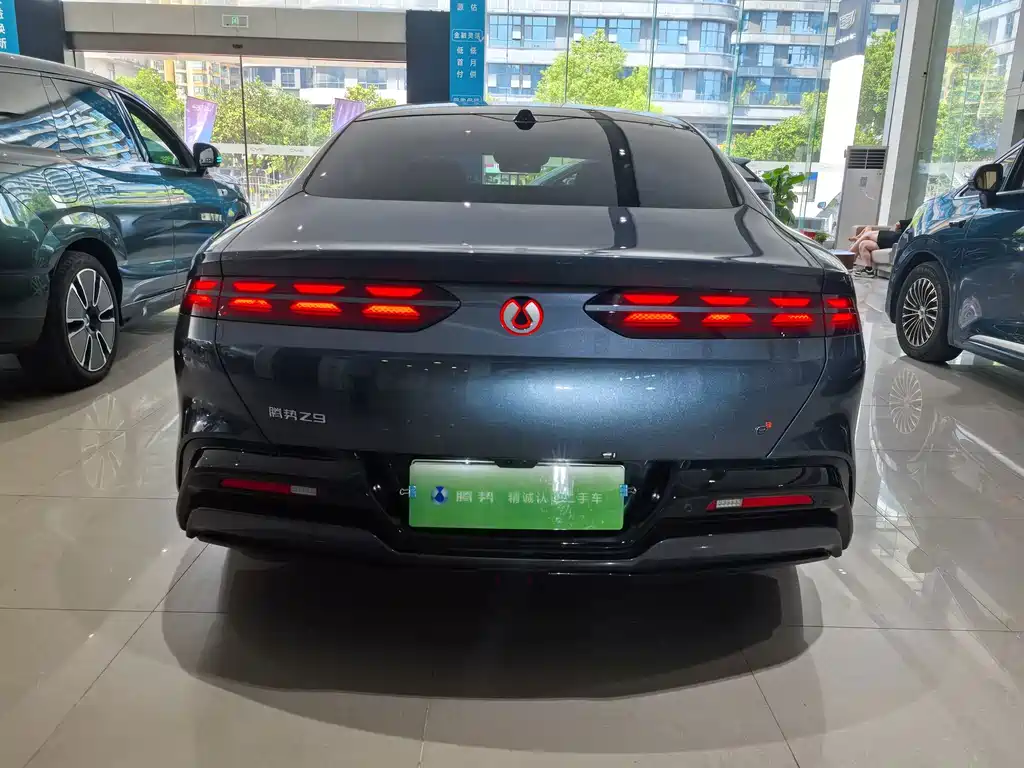 Denza Denza Z9 — миниатюра 10