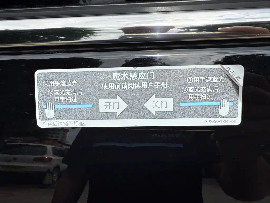 Honda Elysion — миниатюра 17